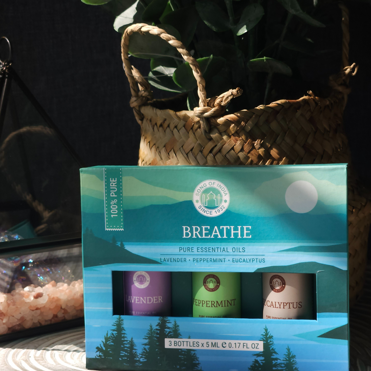 Essential oil Aromatherapy set Breathe