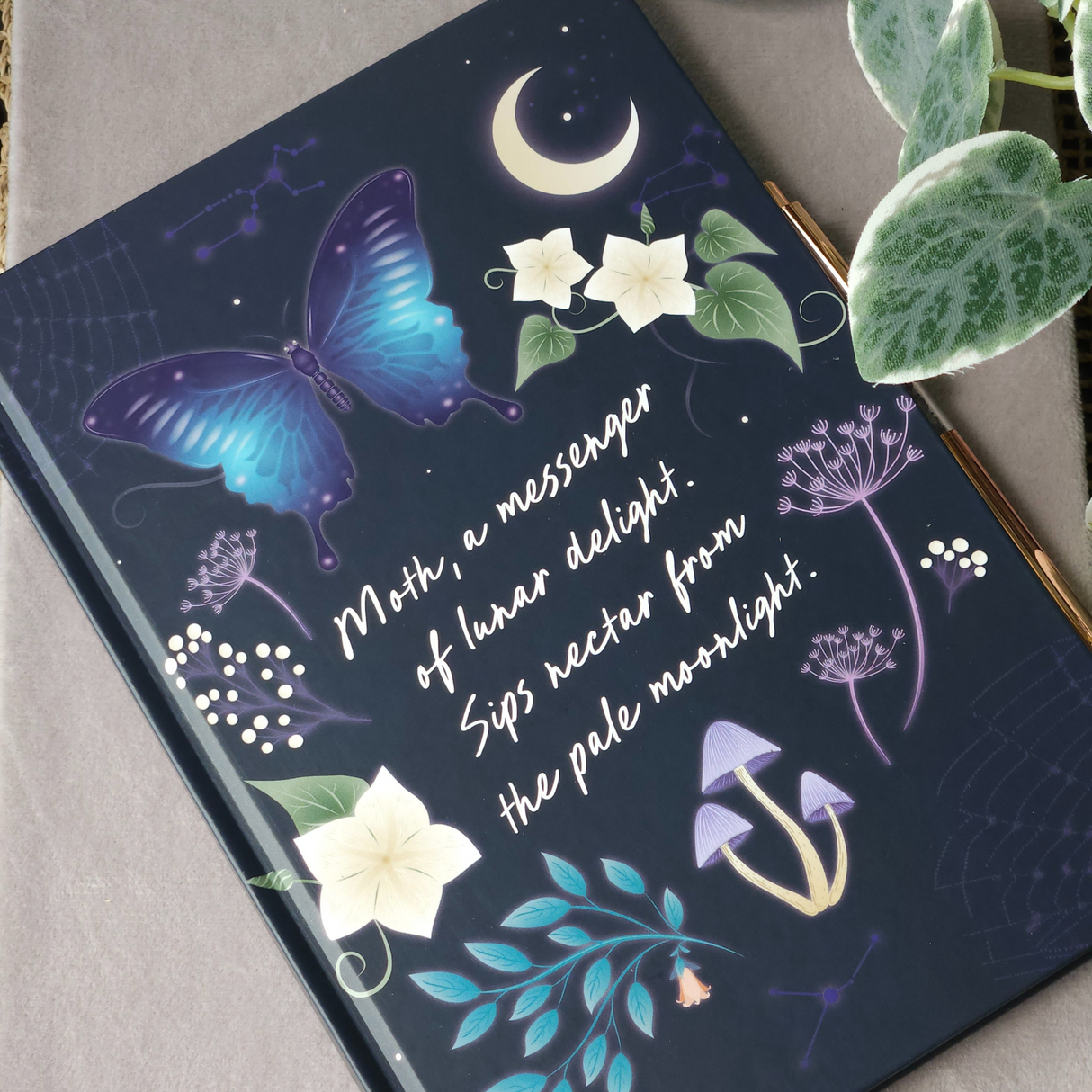 Midnight Moth Journal with Amethyst Pen