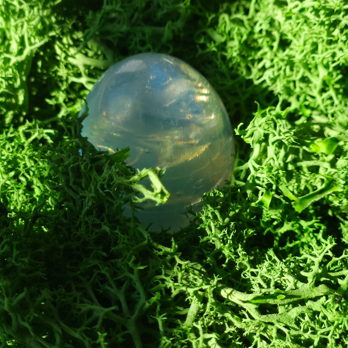 Magic Moon Egg