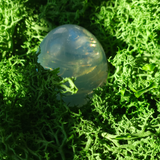 Magic Moon Egg