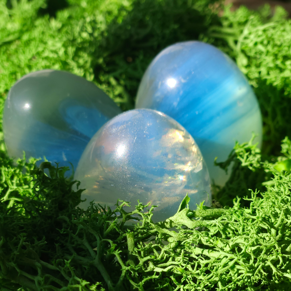 Magic Moon Egg