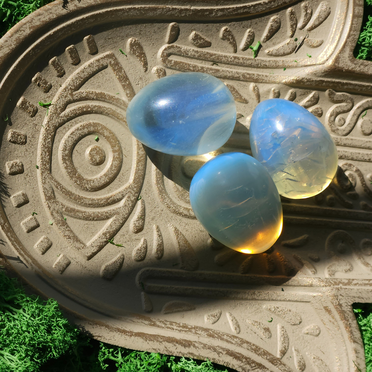Magic Moon Egg