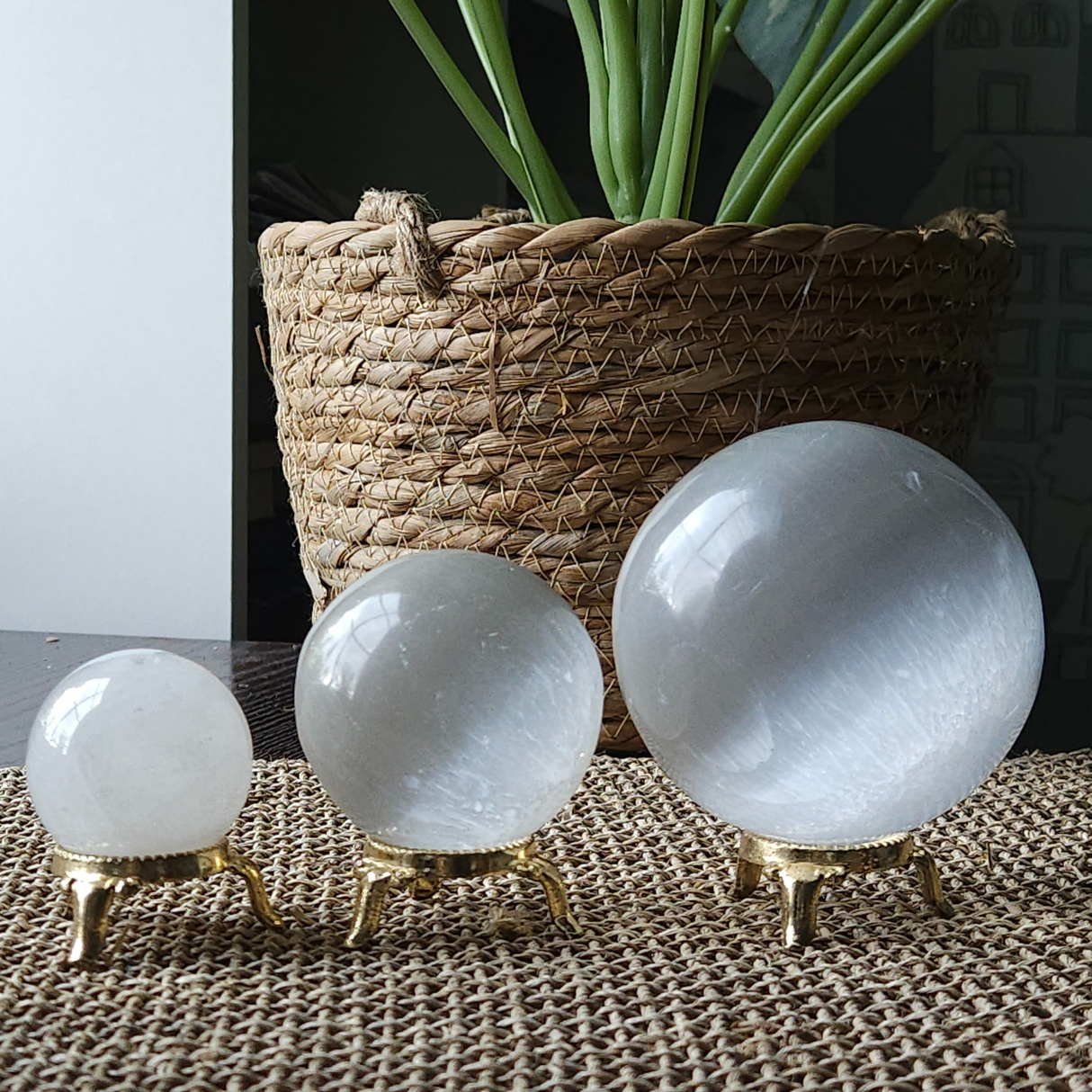 Evocative Selenite
