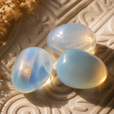 Magic Moon Egg