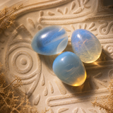 Magic Moon Egg