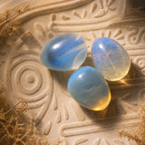 Magic Moon Egg Shiny