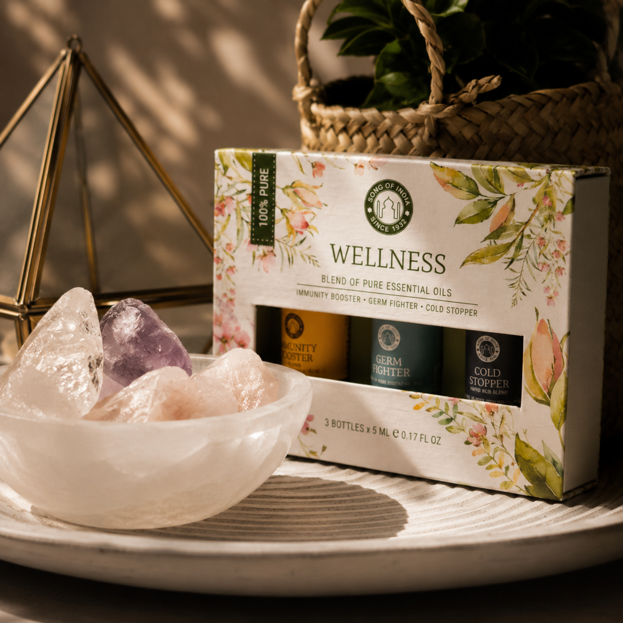 Essential oil Aromatherapy set Wellness